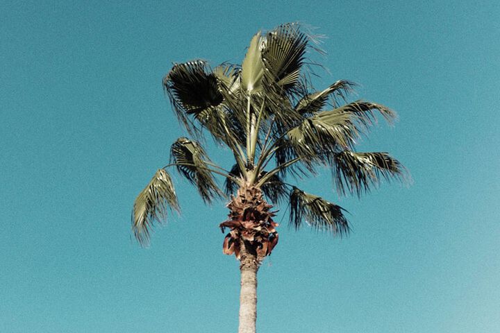 Hotel Interior 75 of 94