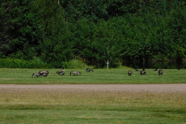 Childrens Activities 17 of 26