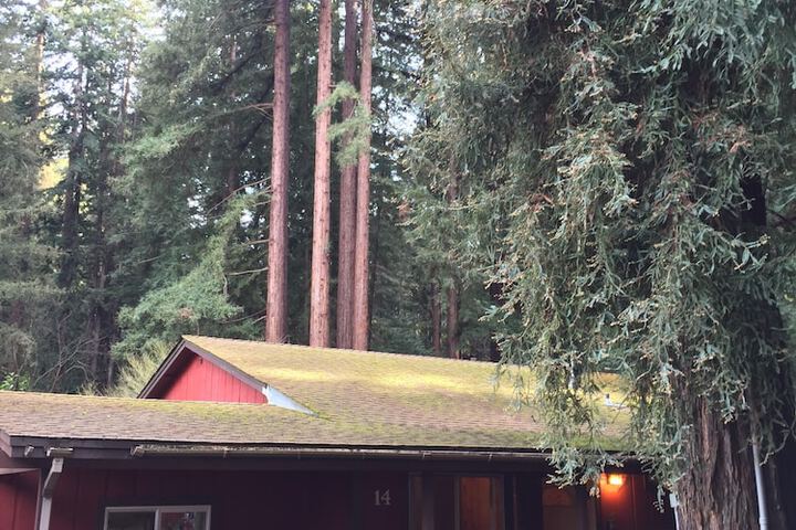 Terrace/Patio 245 of 329