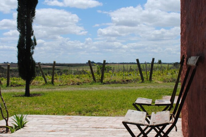 Terrace/Patio 10 of 13
