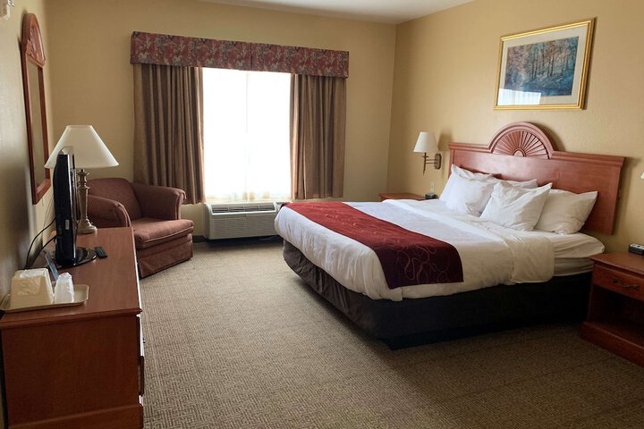 1 King Bed Flat Screen Television Microwave and Refrigerator High Speed Internet Accessible (9 of 11)