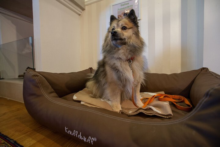 Pet Friendly 24 of 60