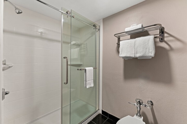 ADA Accessible Deluxe King with Roll in Shower (9 of 12)