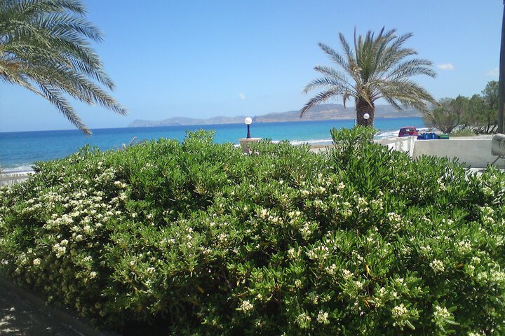 View from room