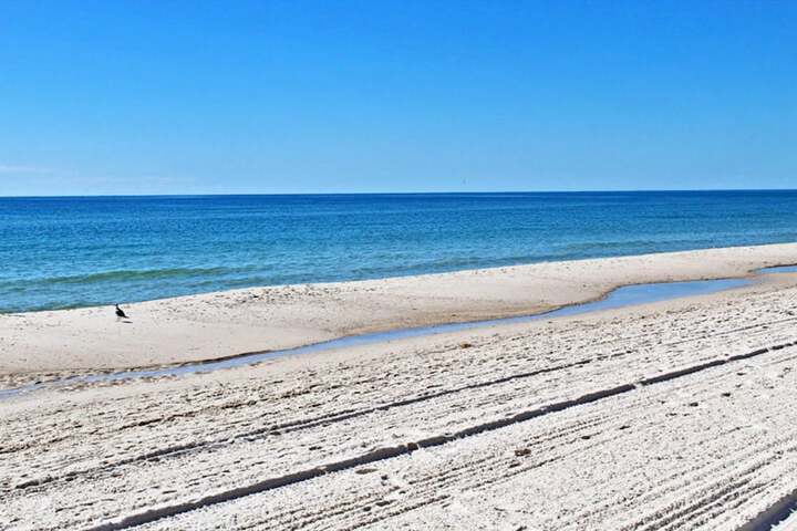 Beach 49 of 57