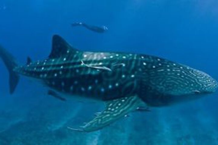 Water Sports 50 of 54