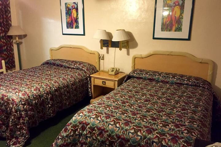 Room 4 of 24