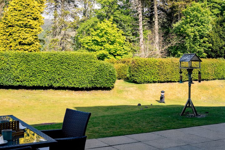Terrace/Patio 597 of 691