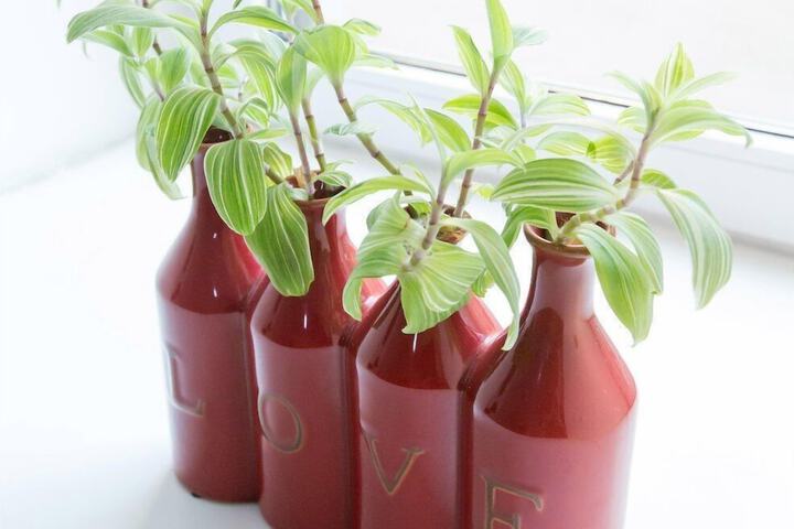 Room 14 of 19