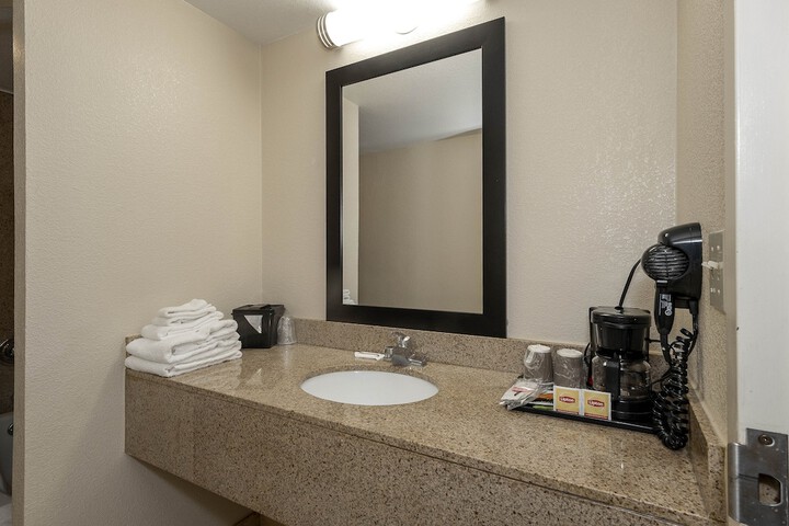 ADA Accessible Superior King with Walk in Shower (19 of 21)