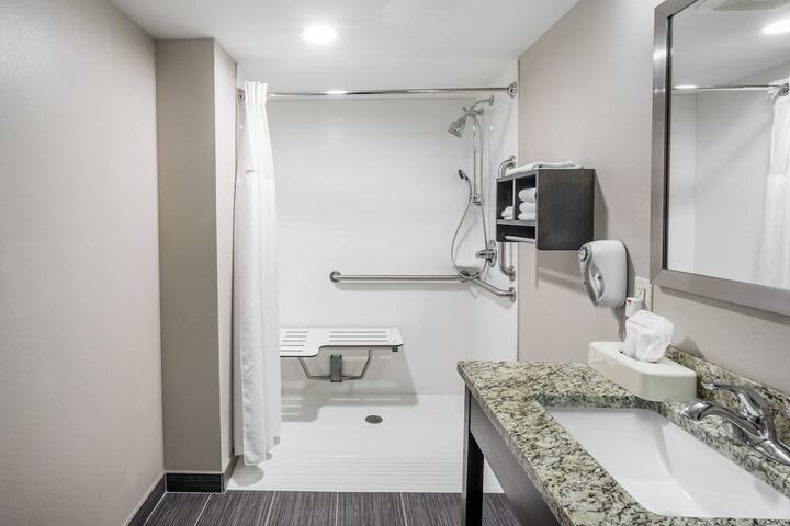 1 King Bed Mobility Accessible (18 of 33)