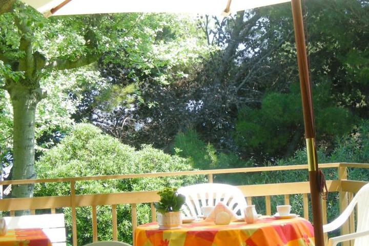 Spa and Wellness Pictures