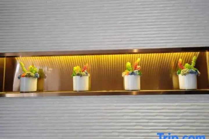 Homeinn Selected Hotel (Shanghai Lujiazui Century Avenue Subway Station)