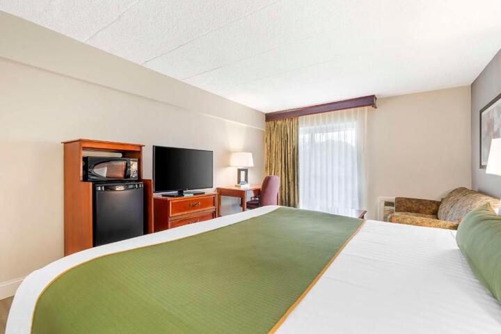 1 King Bed Sofa Bed Microwave and Refrigerator High Speed Internet Accessible (6 of 13)