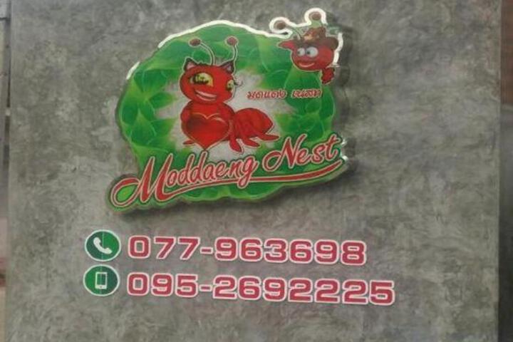 Moddaeng Nest