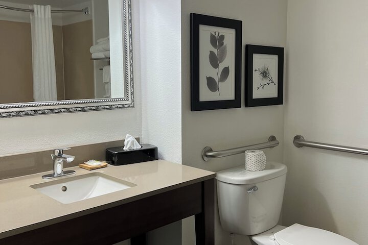 1 King Bed Accessible (8 of 16)