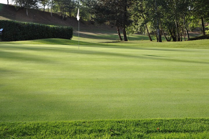 Golf 92 of 115