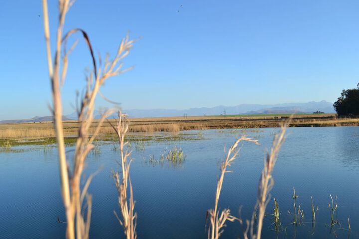 Property Grounds 2 of 12