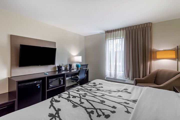1 King Bed (10 of 13)