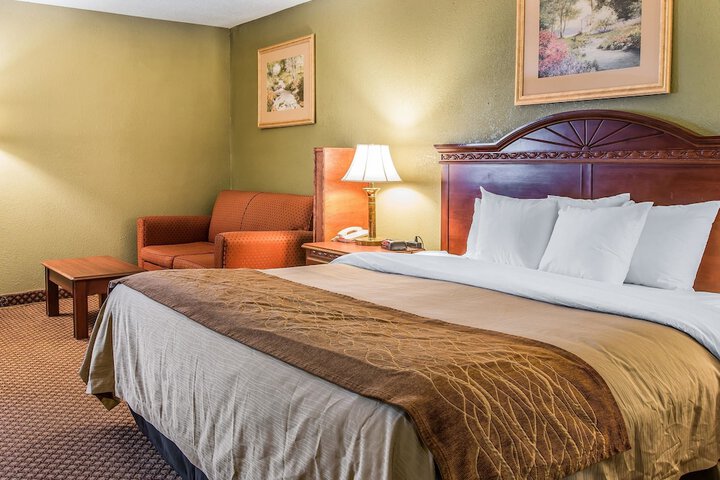 1 King Bed (2 of 11)