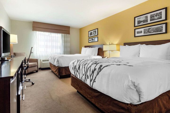 2 Queen Beds (4 of 15)