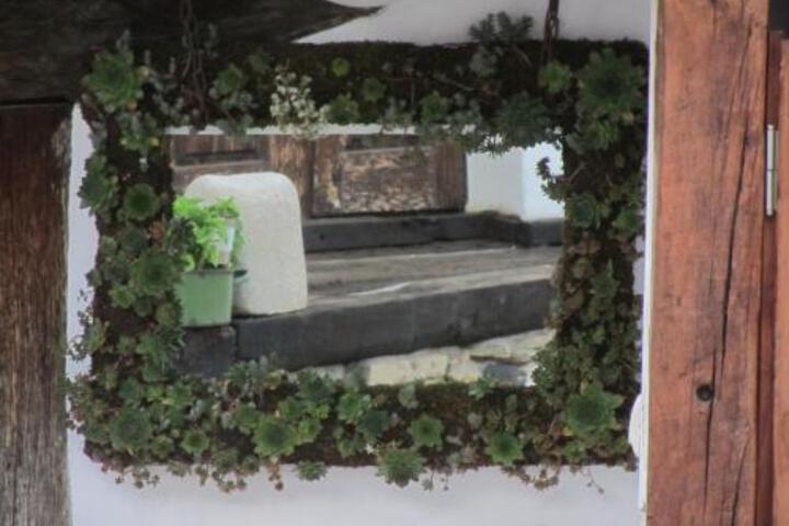 General 17 of 101