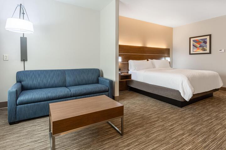 1 King Bed Suite Addl Living Area (9 of 13)