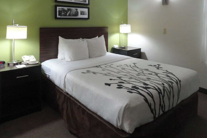 1 Queen Bed