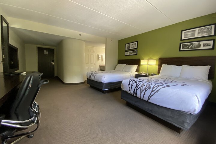 1 King Bed (6 of 7)
