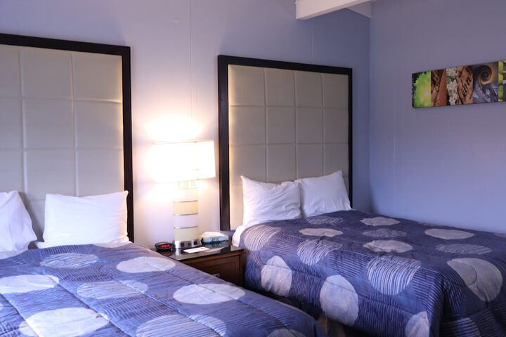 Standard Double Room (12 of 16)