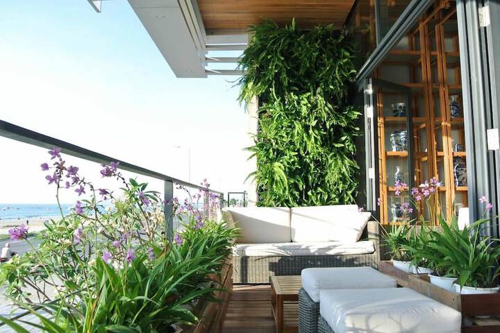Terrace/Patio 60 of 62