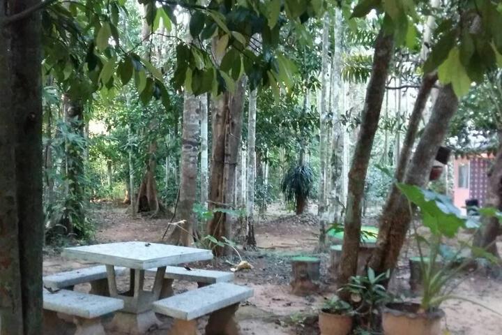 Terrace/Patio 1 of 6