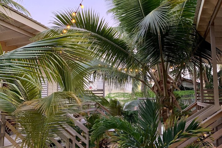 Hotel Exterior 33 of 59