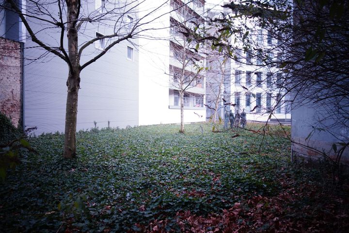 Property Grounds 55 of 59