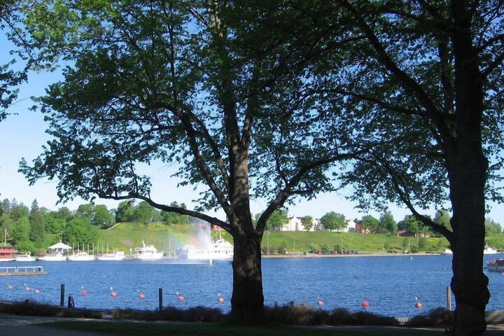 Lake