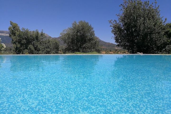 Pool 19 of 41