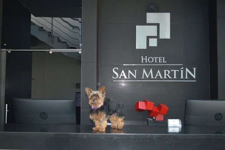 Pet Friendly 40 of 55
