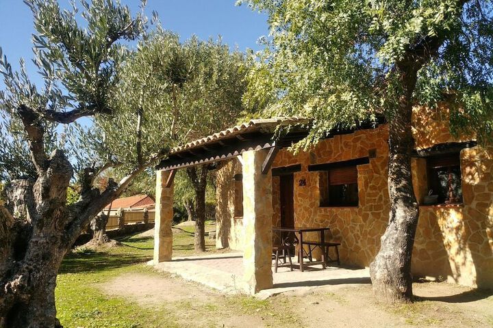 Photo 13