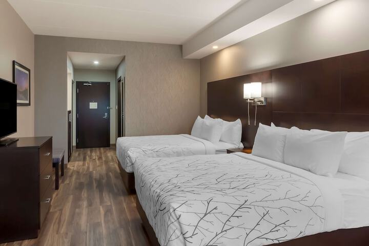 Room 12 of 53