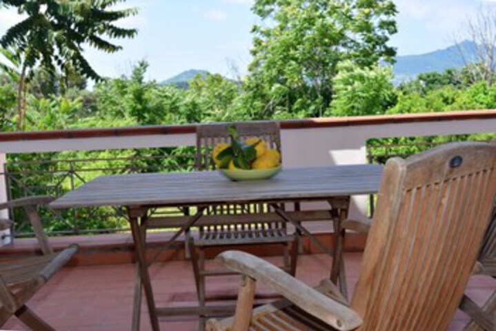 Terrace/Patio 2 of 22