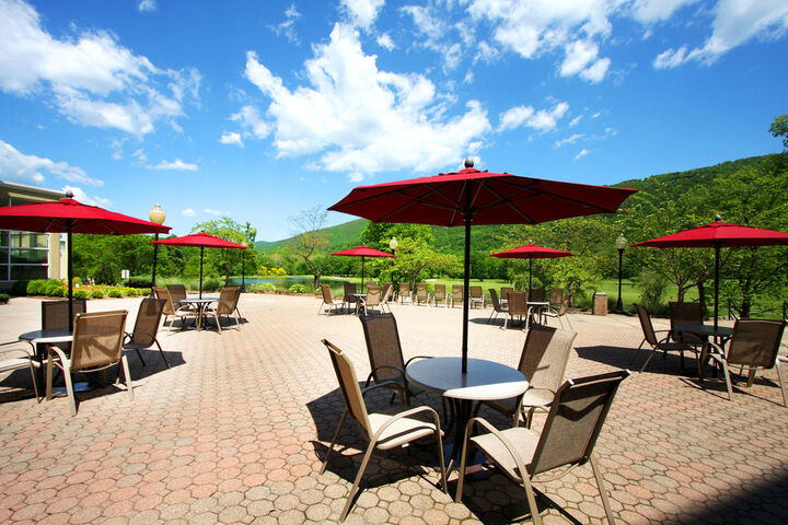 Terrace/Patio 71 of 77