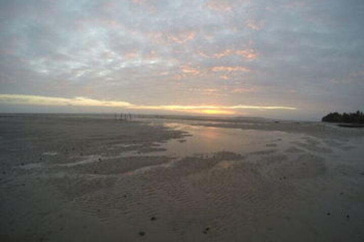 Summer Beach Lodge