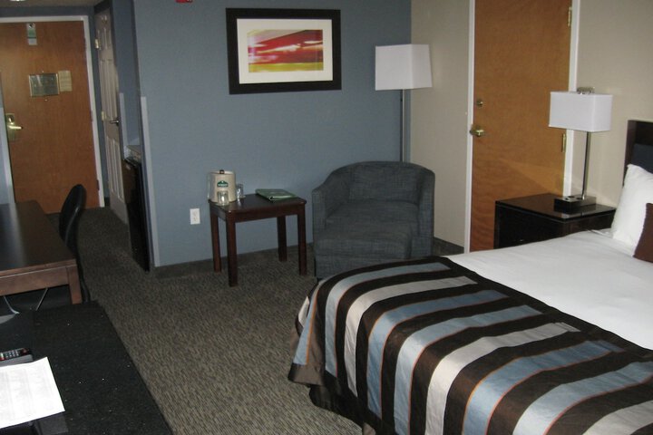 1 King Bed (25 of 28)
