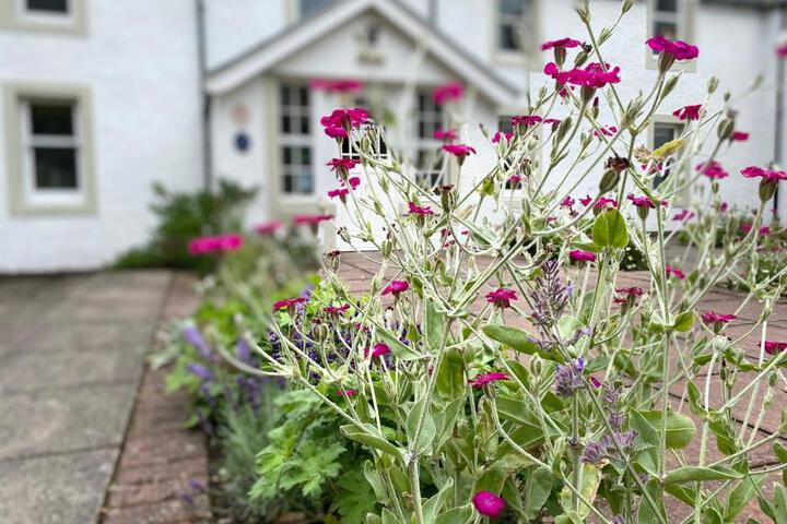 Spa and Wellness Pictures