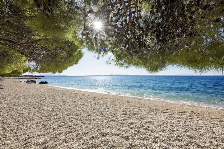 Beach 60 of 78