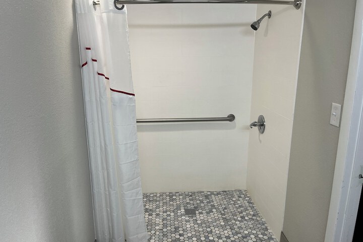 ADA Accessible Deluxe King Roll in Shower (4 of 13)