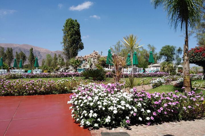 Casa Hacienda Nasca Oasis