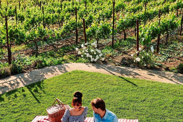 Vineyard