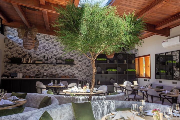 Dining 62 of 96