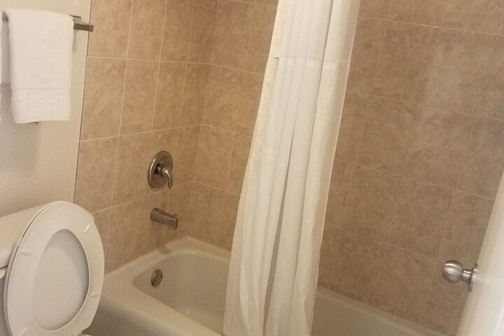 1 King Bed Accessible (10 of 11)